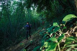 BIB: 
                            <button type="button" onclick="openModal(28124462)" class="btn btn-primary btn-sm float-right btn-popup" data-toggle="modal" data-target=".modal-high-quality">
                        <i class="fas fa-shopping-cart"></i> Add to Cart
                    </button>
                                            <button type="button" onclick="isThisMe(28124462, true)" class="btn btn-success btn-sm float-right btn-popup btn-isme hidden" data-toggle="tooltip" data-placement="bottom" title="นี่คือรูปของคุณใช่ไหม คลิกที่นี่เพื่อเอาเข้าอัลบั้ม">
                        <i class="fas fa-plus"></i> Add to album
                    </button>
                    <button type="button" onclick="isThisMe(28124462, false)" class="btn btn-warning btn-sm float-right btn-popup btn-isnotme hidden">
                        <i class="fas fa-ban"></i> Remove from album
                    </button>